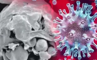 تعرف على أعراض الفطر الأسود وأكثر الأشخاص عرضة له