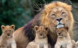 حديقة حيوان تحبس الزائرين في أقفاص بدلاً من الحيوانات!