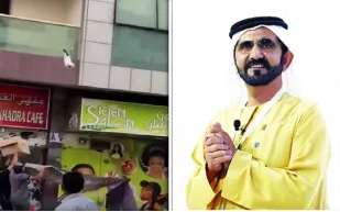 ما المكافأة التي منحها الشيخ محمد بن راشد لمنقذي القطة بدبي؟ (فيديو)