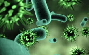 بعد كورونا.. ماذا تعرف عن فيروس "ماربورغ"؟