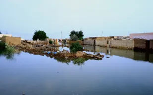 كيف واجه السودانيون فيضان النيل؟ (فيديو)