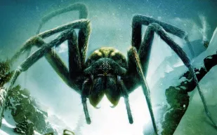 على طريقة أفلام الخيال العلمي العناكب تثير الذعر بمحطة الفضاء الدولية (فيديو)