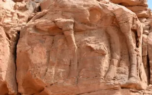 اكتشاف منحوتات للإبل في السعودية أقدم من الأهرامات وأحجار ستونهنج  