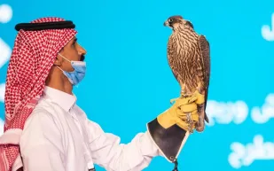 بيع أغلى صقر من مزاد نادي الصقور السعودي (فيديو)