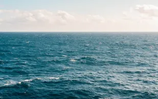 بفضل الصلاة وجوز الهند رجلان ينجوان بعد 29 يومًا في المحيط