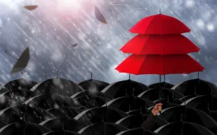 خطوات تحديث بيانات مستفيدي الضمان الاجتماعي ورابط التسجيل