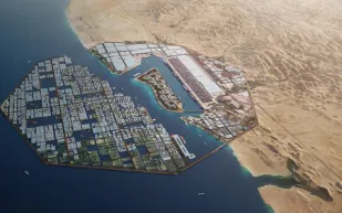 ما معنى كلمة «أوكساجون» التي أطلقها ولي العهد في نيوم؟