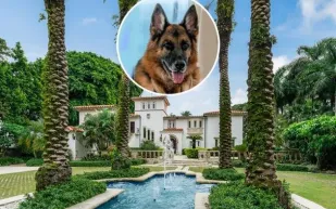 أغنى كلاب العالم يبيع قصره بـ32 مليون بعد شرائه من مادونا ! (فيديو)