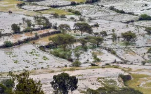 في ظاهرة فريدة محافظة سعودية تكتسي باللون الأبيض (فيديو)
