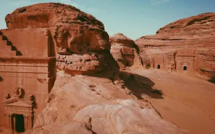 متحف السماء في السعودية: أول متحف طائر في العالم