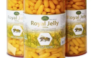فوائد حبوب رويال جيلي للرجال.. غذاء ملكات النحل