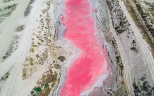 طالب يكتشف بحيرة مذهلة باللون الوردي في رأس الخيمة