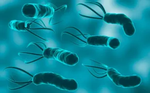 أعراض جرثومة المعدة النفسية وكيف يمكن علاجها؟