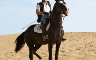 شاهد حصان أحمد السقا يرقص على "الغزالة رايقة" (فيديو)