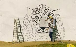 سر صورة النمر العربي التي انتشرت في السعودية (فيديو)