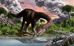 صدق أو لا تصدق.. الديناصورات أصيبت بإنفلونزا الطيور قبل 65 مليون سنة