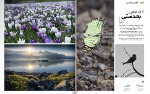 أفضل اللقطات المشاركة في «شغفي بعدستي» لشهر مايو