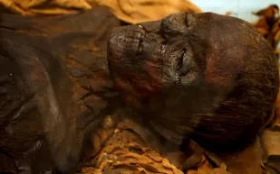 أكل المومياوات المصرية كان علاجًا للأمراض في أوروبا قبل 500 عام!