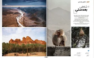 أفضل اللقطات المشاركة في «شغفي بعدستي» لشهر يونيو