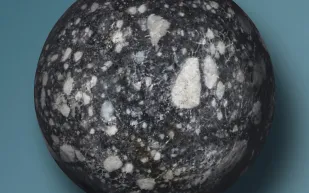 عرض بقايا ديناصورات ومقتنيات فضاء في مزاد علني بأسعار خيالية!