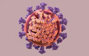 لماذا يعد متغير «Ba.5» الجديد السلالة الأخطر من فيروس كورونا؟ 