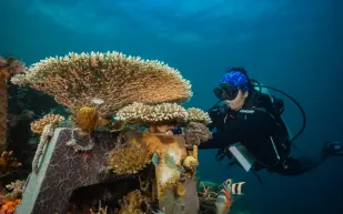 4 ساعات للغوص.. أنت في أمان تحت الماء