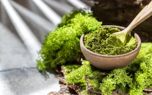 الطحالب البحرية لأداء بدني أقوى.. لماذا يفضلها نجوم كرة القدم؟