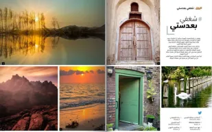 أفضل اللقطات المشاركة في «شغفي بعدستي» لشهر سبتمبر