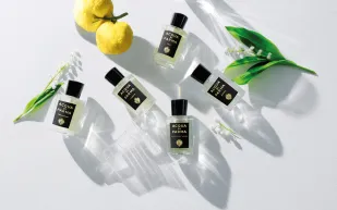 ترجمة فنية لعطور المنزل من Signatures of the Sun