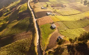 لماذا يهتم أثرياء الولايات المتحدة بالاستحواذ على الأراضي الزراعية؟