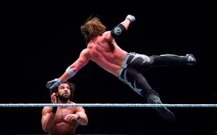 اندماج «إنديفور» واتحاد «WWE» للمصارعة في صفقة بمليارات الدولارات