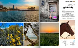 أفضل اللقطات المشاركة في «شغفي بعدستي» لشهر مايو