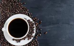 "الكيلو بـ 1000 دولار".. هل تعرف قهوة طيور "جاكو"؟