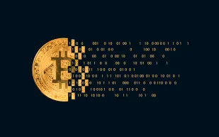 مخاوف من "عملات الميم" نظرًا لضغطها على شبكة بيتكوين