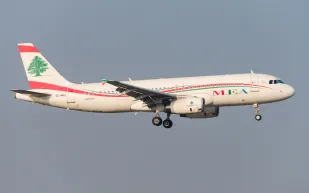 طيار لبناني يتقدم للزواج من فتاة على متن طائرة (فيديو)