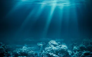 ما السر وراء ثقب الجاذبية العملاق في قاع المحيط الهندي؟ (فيديو)