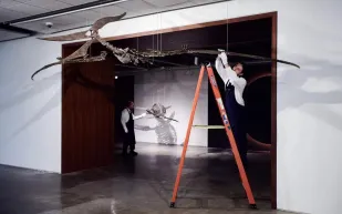 بيع هيكل عظمي عملاق في مزاد بـ 3.9 مليون دولار