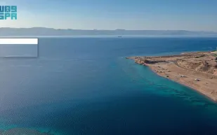 محافظة حقل.. طبيعة خلابة تحتضن البحر على خليج العقبة (فيديو)