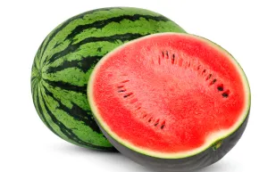 نجاح تجربة زراعة البطيخ في أبرد مناطق العالم (فيديو)