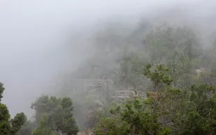 الأمطار وحبات البرد تضرب عسير في الصيف (فيديو)