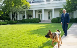 بعد طرده من البيت الأبيض.. أبرز حوادث "العض" المتورط بها كلب "بايدن"
