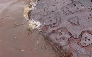 اكتشاف وجوه بشرية غريبة في الأمازون بسبب جفاف الأنهار (فيديو)