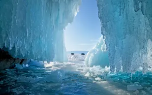 الجنس البشري مهدد من فيروسات عمرها آلاف السنين تحت الجليد