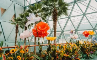 افتتاح مبنى 2 بمطار سنغافورة الأفضل على مستوى العالم