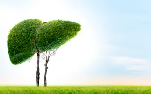 35 دولة تشارك في المعرض الأول للزراعة المستدامة بالرياض