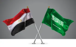مقترح سعودي لاستخدام العملات المحلية في دعم التبادل التجاري مع مصر