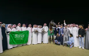 "مربط عذبة" يفوز في بطولة العالم لجمال الخيل العربية بالدوحة