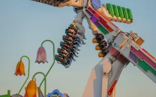 "Top Buzz".. لعبة شائقة مليئة بالإثارة لزوار وندر جاردن