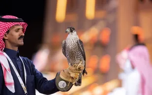 "كأس العُلا للصقور 2023".. المنافسة تشتعل بين صقاري المملكة للفوز بـ 60 مليون ريال