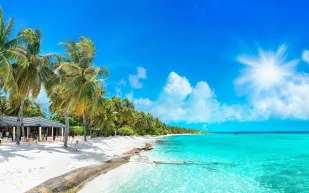 المملكة في المقدمة.. مقاصد سياحية تعد بتجارب استمتاع فاخرة في 2024